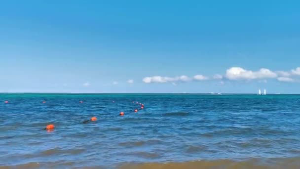 Tropical Mexican Caribbean Sea Beach Landscape Panorama Clear Turquoise Blue — Stock Video