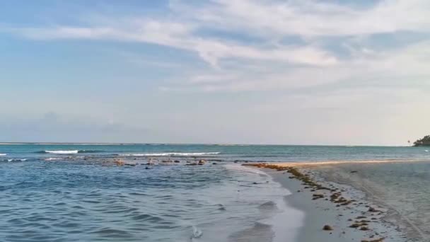 Tropikalna Meksykańska Karaibska Panorama Plażowa Jasnoturkusowymi Kurortami Palmami Playa Del — Wideo stockowe