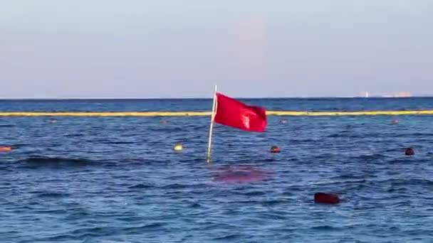 Red Flag Swimming Prohibited High Waves Playa Del Carmen Quintana — Stockvideo