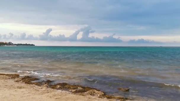 Pietre Rocce Coralli Acqua Turchese Verde Blu Sulla Spiaggia Playa — Video Stock