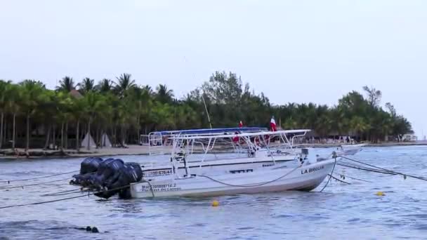 Playa Del Carmen Quintana Roo Mexiko August 2023 Bootsjacht Katamaran — Stockvideo