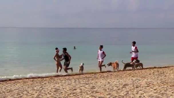 Playa Del Carmen Quintana Roo México Agosto 2023 Corredor Desportista — Vídeo de Stock