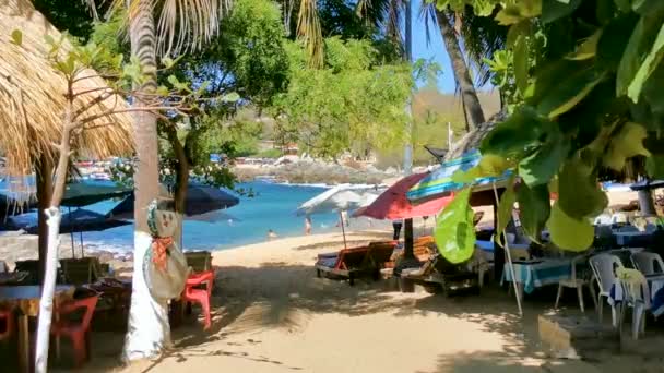 Puerto Escondido Oaxaca México Marzo 2023 Palmeras Personas Botes Sombrillas — Vídeos de Stock