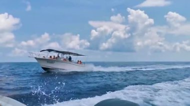 Cancun Quintana Roo Meksika 28. 2022 Haziran 'ında Cancun Quintana Roo Meksika' da tekne turu gezisinde yüzen dev balina köpekbalıkları..
