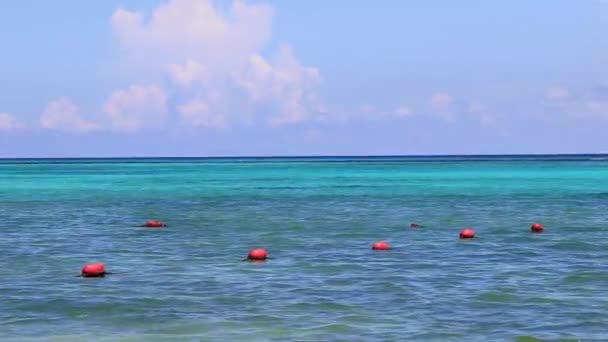 Güzel Mavi Turkuaz Dalgaları Okyanus Sarı Turuncu Şamandıra Şamandıraları Quintana — Stok video