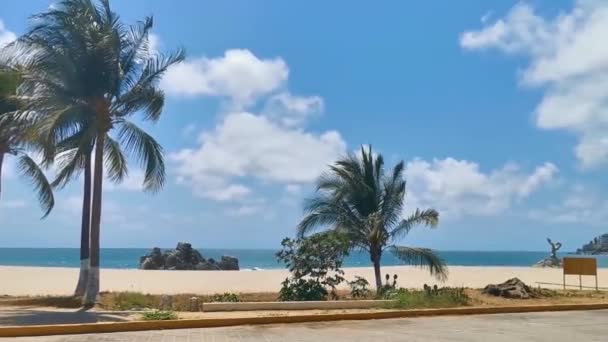 Sol Playa Arena Costa Agua Olas Surfistas Con Palmeras Sombrillas — Vídeos de Stock