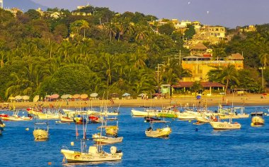 Puerto Escondido Oaxaca Meksika 17. Aralık 2022 Puerto Escondido Oaxaca Meksika 'daki Zicatela liman ve sahilinde balıkçı tekneleri.