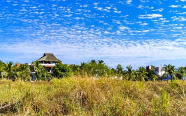 Lüks, güzel tropikal modern evler ve Bacocho Puerto Escondido Oaxaca Meksika 'daki oteller..