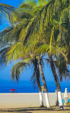 Puerto Escondido Oaxaca Meksika 24. Mart 2023 Güzel tropikal ve doğal şehir ve deniz manzarası Pasifik Okyanusu Palmiyeleri ve Zicatela dalgaları ile plaj.