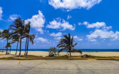 Güneş sahili kıyısı suyu ve palmiye ağacı şemsiyeli sörf dalgaları Zicatela Puerto Escondido Oaxaca 'da uçurum turizmi ve mavi gökyüzünü sallar..