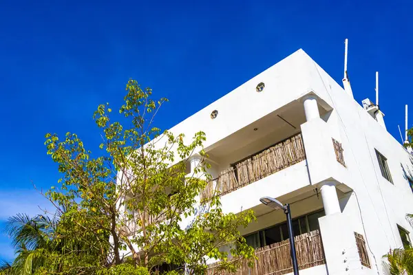 Playa del Carmen Quintana Roo Meksika 05. Ağustos 2023 Playa del Carmen Quintana Roo Meksika 'da palmiye ağaçları olan tropik cennetteki tatil beldeleri ve apartmanlar.