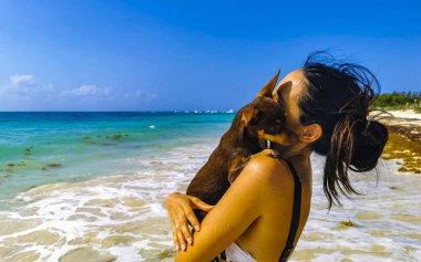 Seksi bayan güzel kadın küçük köpeğiyle birlikte Playa del Carmen Quintana Roo Mexico 'daki tropik Meksika Karayip plajında poz veriyor..