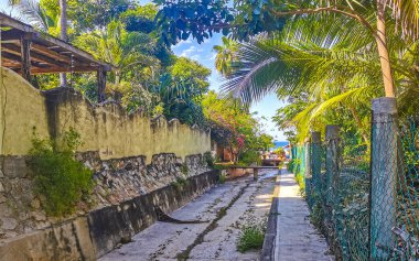 Zicatela Puerto Escondido Oaxaca Meksika 'daki tropikal ormanlarda açık kanalizasyon sistemi..