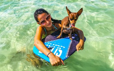 Seksi bayan güzel kadın küçük köpeğiyle birlikte Playa del Carmen Quintana Roo Meksika 'daki tropik Meksika Karayip plajında poz veriyor..