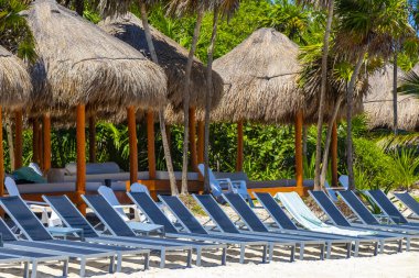 Palapa sazdan çatılar palmiye ağaçları şemsiyeler ve Playa del Carmen Meksika 'daki tropikal Meksika plajındaki sahil otelindeki güneş pansiyonları..