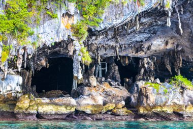 Güneydoğu Asya 'daki Ao Nang Amphoe Mueang Krabi Tayland' daki Koh Phi Phi Don adasındaki kayanın kireçtaşı mağarası ve turkuaz mavisi suyu..
