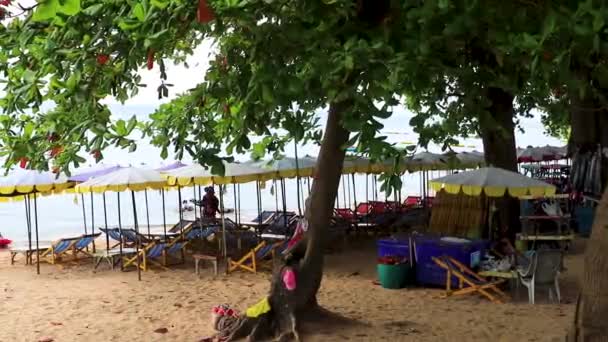 パタヤ チョン 10月 2018 トロピカルビーチ波 ボートヤシの木や高層ビーチパタヤバンラムンチョンブリタイ 東南アジア — ストック動画
