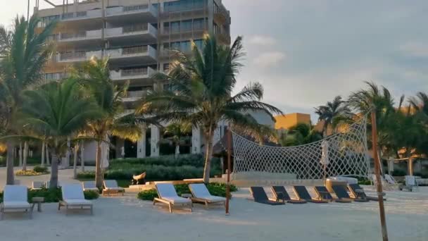 Palapa Telhados Palmeiras Guarda Sóis Guarda Sóis Espreguiçadeiras Hotel Resort — Vídeo de Stock