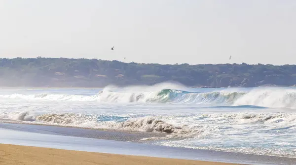Extremely Huge Big Surfer Waves Beach Punta Zicatela Puerto Escondido Fotos De Stock