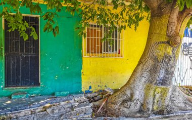 Palmiye ağaçlarıyla dolu tipik yaya yolu ve şehir manzarası mimari banklar ve Luis Donaldo Colosio 'nun Playa del Carmen Quintana Roo Meksika' daki duvar resimleri..