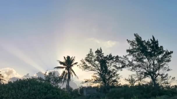 卡门金塔纳罗奥墨西哥热带地区棕榈树丛林中的自然与云彩之后 阳光灿烂 夕阳和日出五彩斑斓 — 图库视频影像