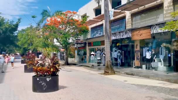 Calle Típica Paisaje Urbano Quinta Avenida Con Restaurantes Tiendas Personas — Vídeos de Stock