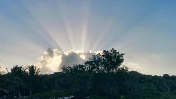 卡门金塔纳罗奥墨西哥热带地区棕榈树丛林中的自然与云彩之后 阳光灿烂 夕阳和日出五彩斑斓 — 图库视频影像