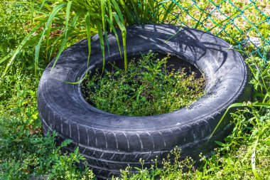 Playa del Carmen Quintana Roo Meksika 'nın tropikal ormanlarında atık çöp ve kirletici araba lastikleri paketleme.