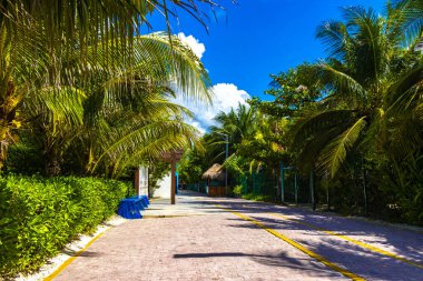 Playa del Carmen Quintana Roo Meksika 03. Mayıs 2023 Doğal Karayip Sahil Bilgi Panosu Palapa kulübesi Playa del Carmen Meksika 88 tropik Meksika plajına hoş geldiniz..