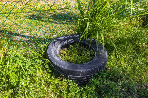 Playa del Carmen Quintana Roo Meksika 'nın tropikal ormanlarında atık çöp ve kirletici araba lastikleri paketleme.