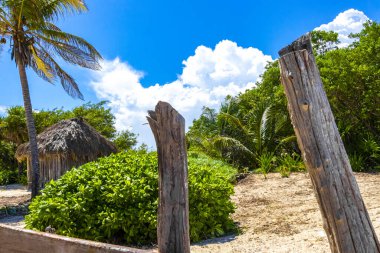 Playa del Carmen Quintana Roo Meksika 'daki Karayipler sahilinde palmiye ağaçları olan tropikal ormandaki ahşap kulübeler..