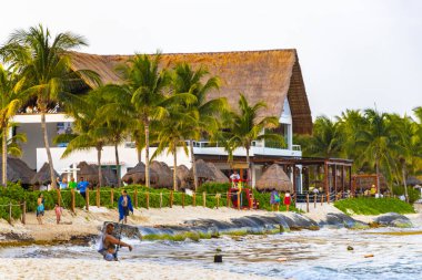 Playa del Carmen Quintana Roo Mexico 'daki Karayipler' deki büyük tatil ve otel kompleksi deniz ve palmiye ağaçları.
