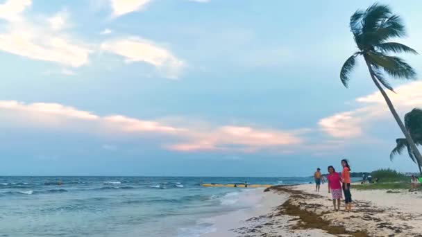 Praia Tropical Mexicana Caribenha Mar Com Pessoas Guarda Sóis Espreguiçadeiras — Vídeo de Stock