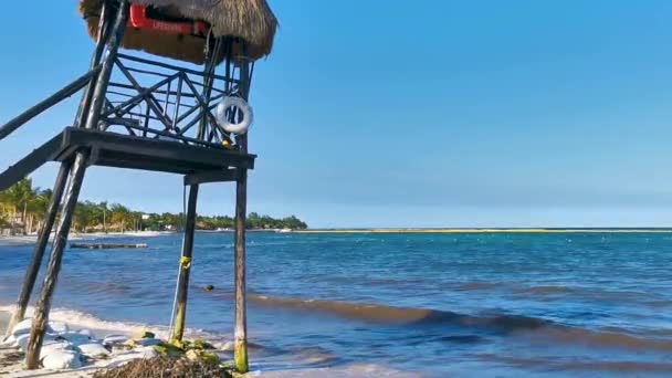 Playa Del Carmen Quintana Roo Μεξικό Μάιος 2023 Ναυαγοσώστης Επιφυλακή — Αρχείο Βίντεο