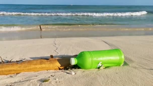 プラヤデルカルメン キンタナルーメキシコのカリブ海のビーチでゴミの緑のプラスチックボトルと木を洗浄 — ストック動画
