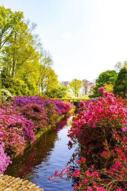 Parkta çok güzel kuyusu olan Lake River, Avrupa 'da Hollanda' da Keukenhof Lisse 'deki insanlar ve lalelerle dolu..