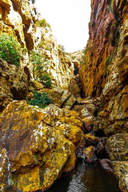 Simons Town Capetown Batı Capetown Güney Afrika Burnu 'ndaki kayalıklar ve kayalar arasındaki kuru şelale..