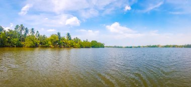 Bentota Sahili, Galle Bölgesi, Güney Sri Lanka Bölgesi Bentota Ganga Gölü 'ndeki tropikal doğal mangrov ormanlarında tekne safarisi..