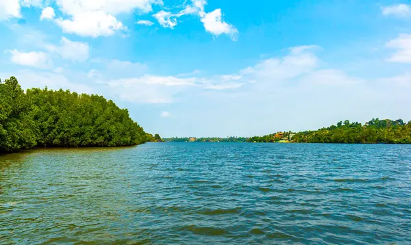 Bentota Sahili, Galle Bölgesi, Güney Sri Lanka Bölgesi Bentota Ganga Gölü 'ndeki tropikal doğal mangrov ormanlarında tekne safarisi..