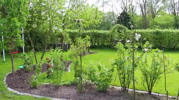 Green Garden Trees Plants Hut Compost Beds Γκαζόν Και Μπάρμπεκιου — Αρχείο Βίντεο