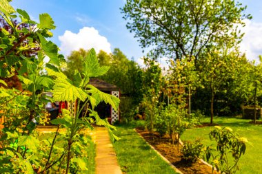 Leherheide Bremerhaven Bremen Almanya 'sında ağaçlı yeşil bahçe gübre yatakları çimenlik ve barbekü alanı.