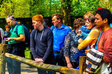 Lisse Güney Hollanda Hollanda 04. Nisan 2014 'te insanlar Keukenhof Lisse' deki hayvanat bahçesinde bir şey izliyorlar Güney Hollanda Hollanda, Avrupa.