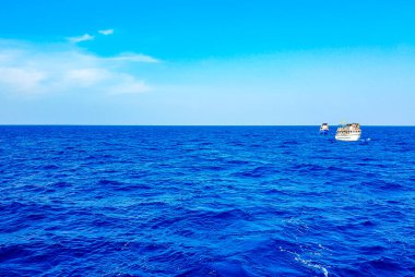 Mirissa Beach Southern Eyaleti Sri Lanka 19. Mart 2018 Katamaran gemi turu Mirissa Sahili Matara Bölgesi Güney Sri Lanka Bölgesi 'nde mavi balina turistleri ve deniz okyanusu ve su.