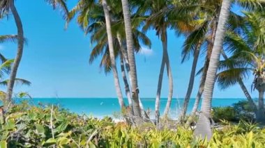 Cancun Quintana Roo Meksika 24. Ocak 2022 Turkuaz mavi palmiye ağaçları, mavi gökyüzü, doğal tropikal plaj ormanı ve Meksika 'daki ada konçertosundaki insanlarla muhteşem manzara manzarası..