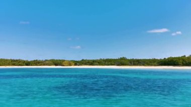 Turkuaz mavi palmiye ağaçları mavi gökyüzü ve doğal tropikal plaj ve orman ormanı ile Quintana Roo Mexico 'daki Contoy adasının muhteşem manzara manzarası..