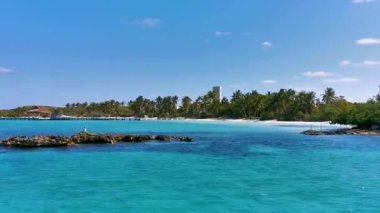 Turkuaz mavi palmiye ağaçları mavi gökyüzü ve doğal tropikal plaj ve orman ormanı ile Quintana Roo Mexico 'daki Contoy adasının muhteşem manzara manzarası..