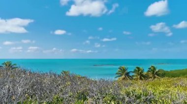 Turkuaz mavi palmiye ağaçları mavi gökyüzü ve doğal tropikal plaj ve orman ormanı ile Quintana Roo Mexico 'daki Contoy adasının muhteşem manzara manzarası..