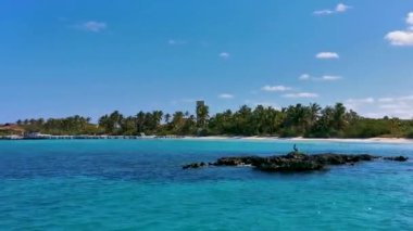 Turkuaz mavi palmiye ağaçları mavi gökyüzü ve doğal tropikal plaj ve orman ormanı ile Quintana Roo Mexico 'daki Contoy adasının muhteşem manzara manzarası..