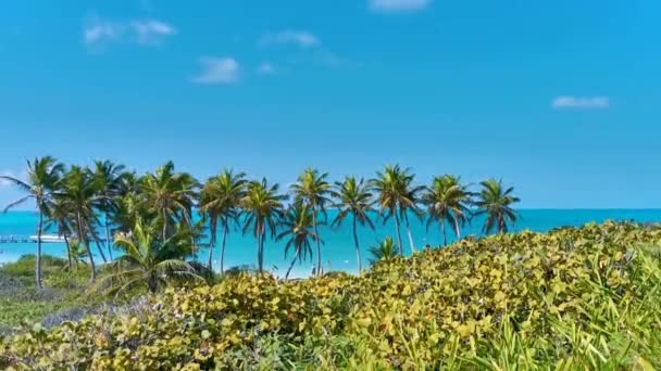 Verbazingwekkend Panorama Uitzicht Met Turquoise Blauwe Water Palmbomen Blauwe Hemel — Stockvideo