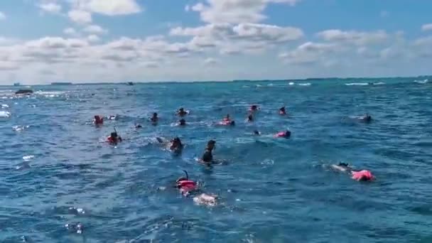 カンクン クインタナ メキシコ24 2022年1月 カンクン クインタナ メキシコのアイラ ムジャレス島のオープン海でシュノーケリング — ストック動画